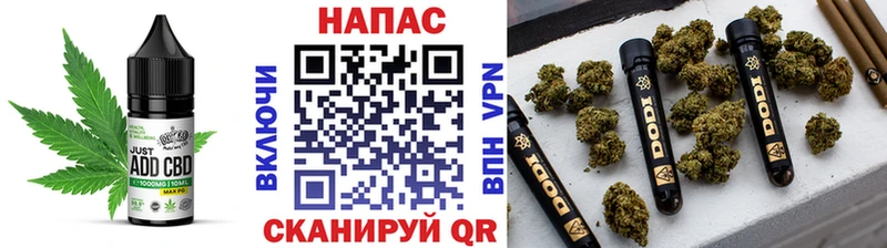 Canna-Cookies конопля  Черняховск 