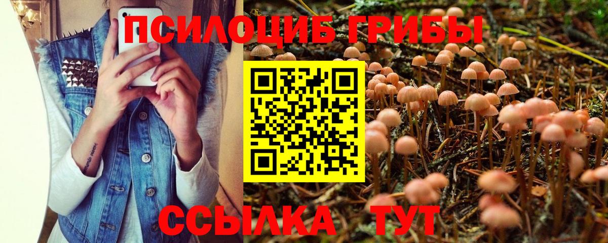 Черняховск  Псилоцибиновые грибы MAGIC MUSHROOMS  Вход с VPN  Псилоцибиновые грибы мицелий 